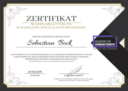 Waldbaden Zertifikat Zertifikat mit dem Namen Sebastian Beck, dekorativem Rahmen und schwarzer Akzentfarbe.